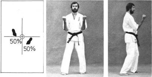 Sanchin dachi