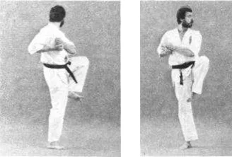 Tsuruashi dachi